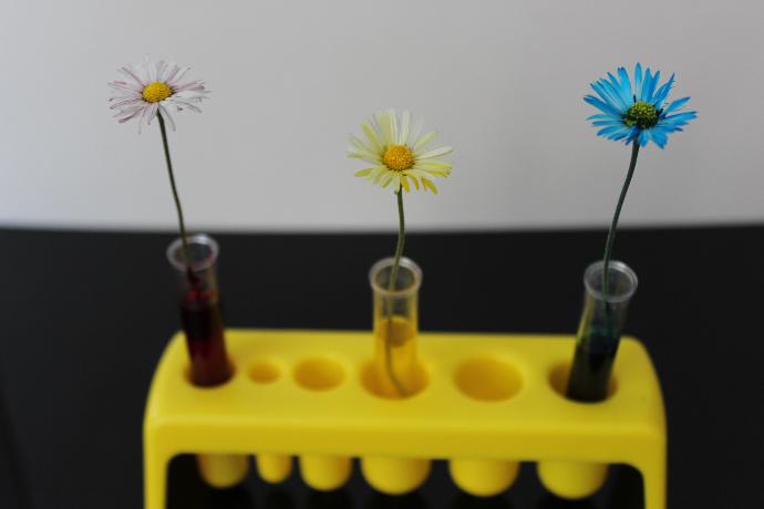 Photo © J.S.U.E. Académie